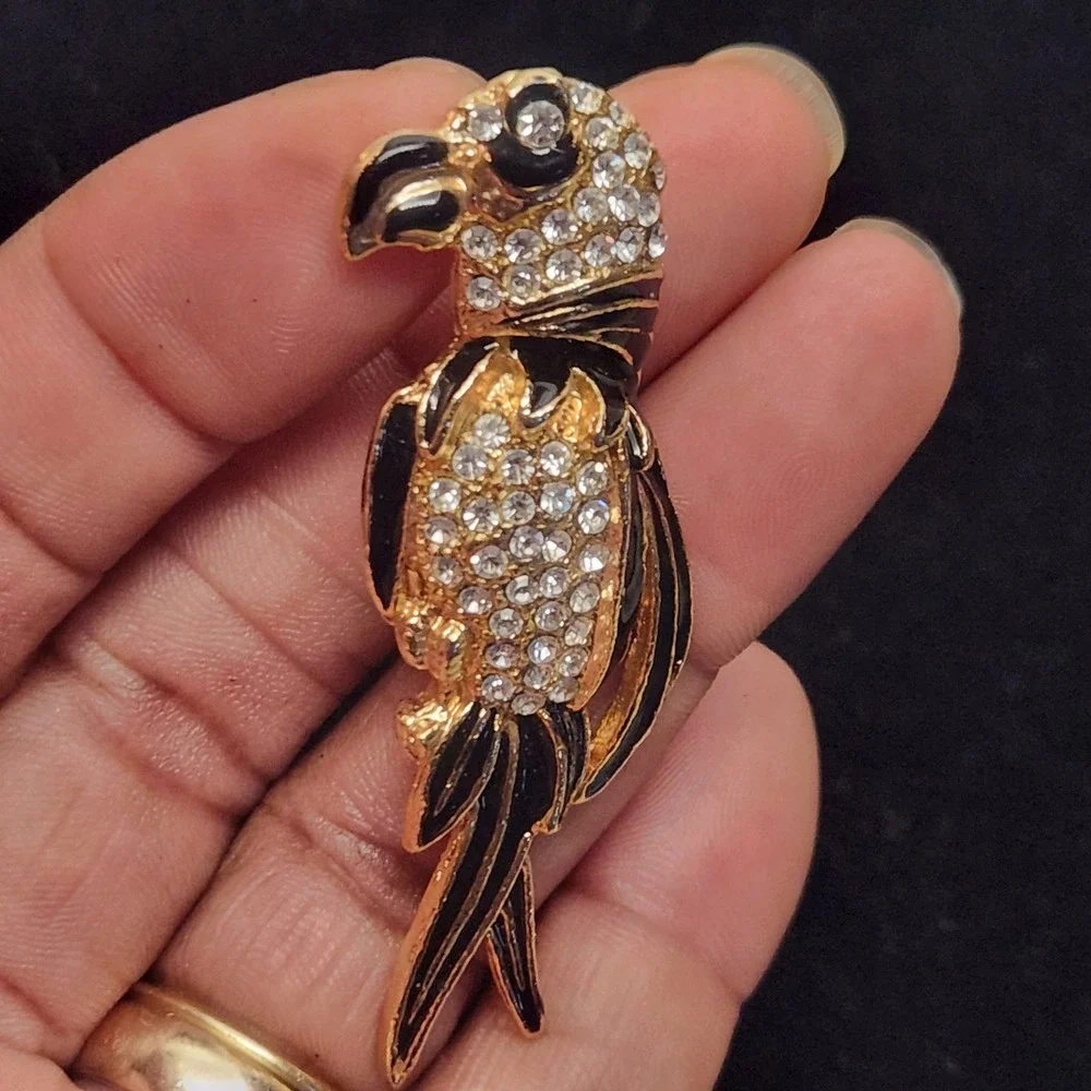 N/A charming parrot